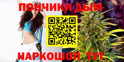 индика Чапаевск