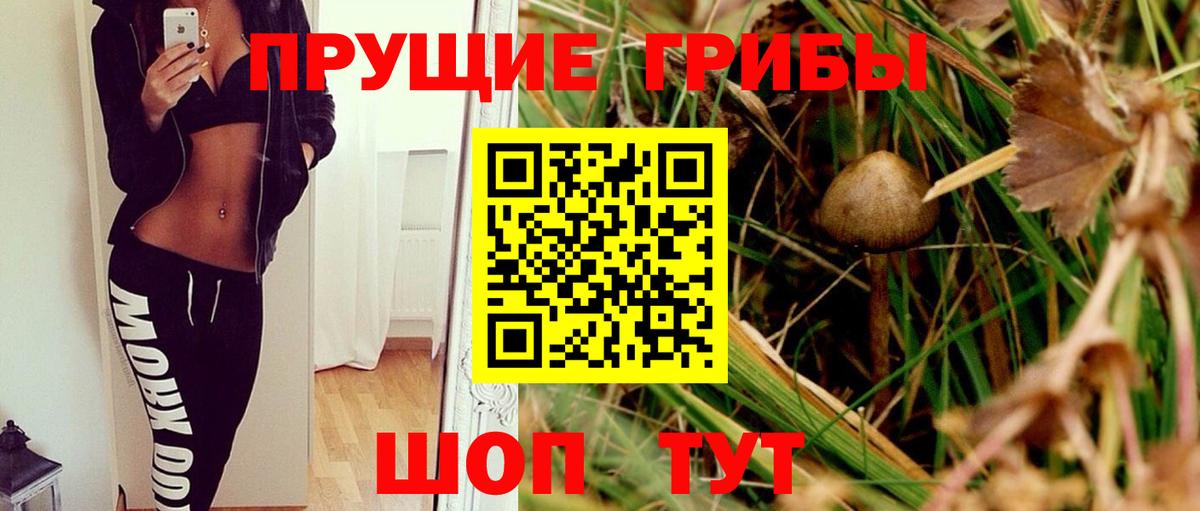 Псилоцибиновые грибы Magic Shrooms Фурманов
