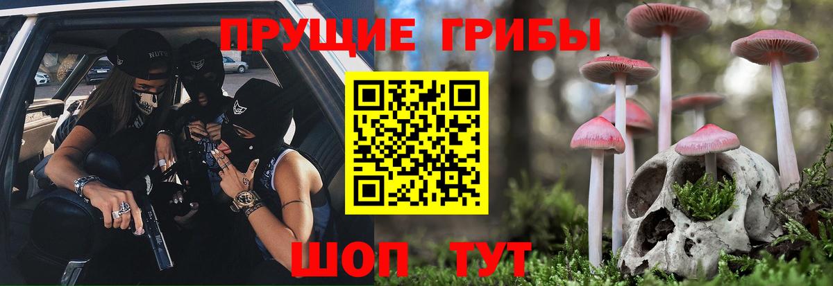 Фурманов  Галлюциногенные грибы MAGIC MUSHROOMS  Вход с VPN 